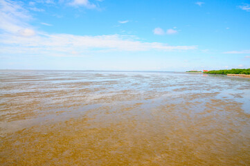Mudflats at Low Tide on a Fine Day