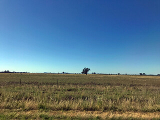 Fototapeta na wymiar The road trip from Brisbane, Queensland to Melbourne Victoria, showcasing open paddocks, sunshine and blue sky with trees