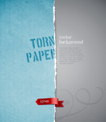 vector torn paper background