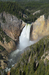 Late Spring in Yellowstone National Park: Lower Yellowstone Falls and the Grand Canyon of the Yellowstone River Seen from Lookout Point