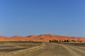 モロッコの旅・サハラ砂漠
