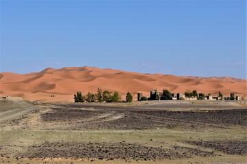 モロッコの旅・サハラ砂漠