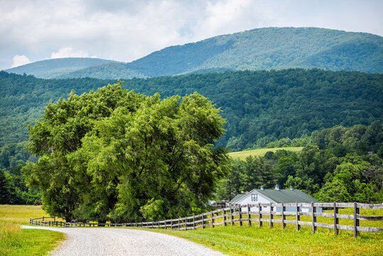 Farm House Gravel Road Wooden Fence Path In Roseland, Virginia Near Blue Ridge Parkway Mountains In Summer With Idyllic Rural Landscape Countryside In Nelson County