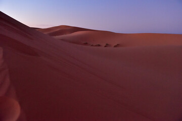Fototapeta na wymiar モロッコの旅・サハラ砂漠の夜明け