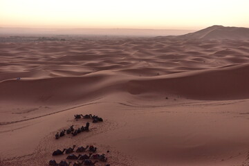 モロッコの旅・サハラ砂漠の夜明け