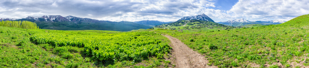 Fototapeta na wymiar Crested Butte, Colorado Snodgrass hiking trail footpath in summer with path leading to mountain and town village panorama wide view with lush green plants wildflowers