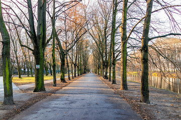 Warsaw, Poland - December 20, 2019: Warszawa Lazienki or Royal Baths Park with tree alley at sunset and nobody by water river - obrazy, fototapety, plakaty