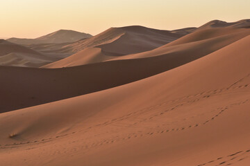 Fototapeta na wymiar モロッコの旅・サハラ砂漠の夜明け