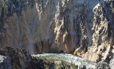 Fototapeta na wymiar Late Spring in Yellowstone National Park: Looking Down From Lookout Point on the North Rim As Morning Sunlight Fills the Grand Canyon of the Yellowstone River
