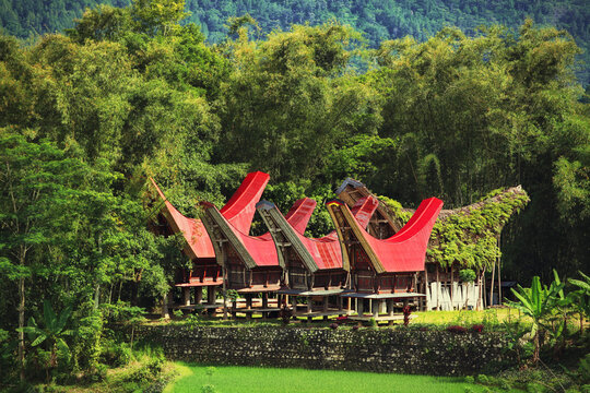 Tongkonan traditional rice barns in village. Tana Toraja, Sulawesi. Indonesia 