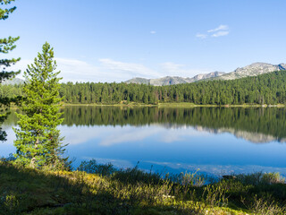 Lake in the forest. Trees are reflected in clear calm water. Wildlife landscape