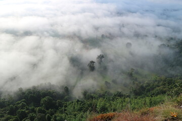 Beautiful landscape in the mountains at sunrise, Traveling concept background.