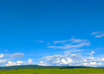 Fototapeta premium green field and blue sky