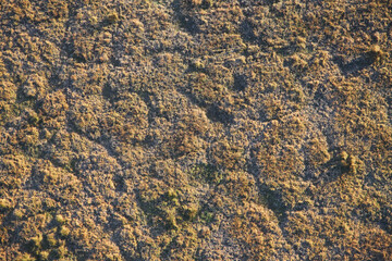 Fantastic views of the Gold Coast Hinterland at dawn with paddocks, trees and mist