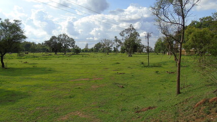 landscape with trees and clouds