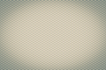 Texture of scales. Scale illustration.