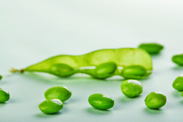 An opened stitch of Edamame or soybeans is isolated on a turquoise background