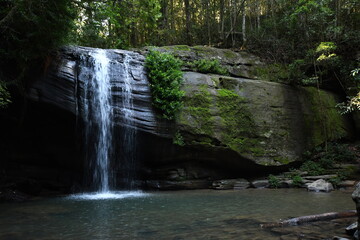 Waterfall In Rainforest