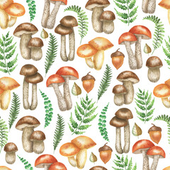 Pattern of mushrooms and fern