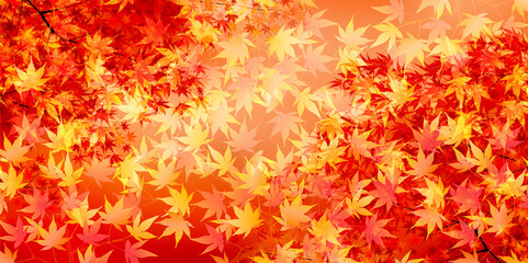  紅葉　もみじ　秋　背景