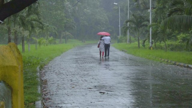 Male and female lovers walking under a single umbrella, through path with green trees on both sides under rainfall. Slow motion Indian monsoon footage.