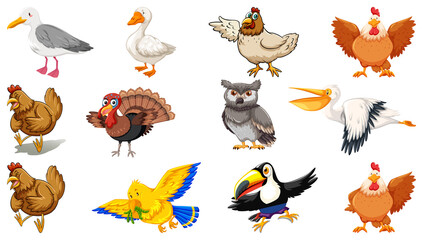 Set of different birds cartoon style isolated on white background