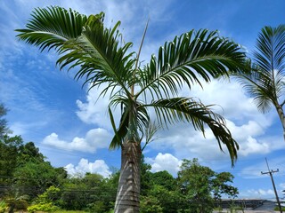 the picturesque area of La Pointe Aux Canonniers in Thailand