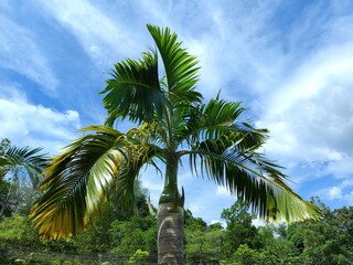 the picturesque area of La Pointe Aux Canonniers in Thailand