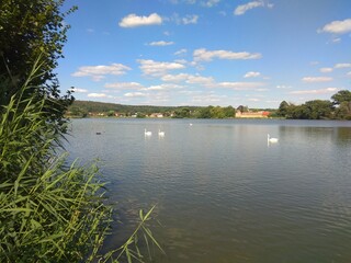 Obraz premium lake in the city