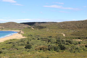 Burwood Beach with Australian Bush Growing Down to the Sand