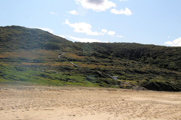 Burwood Beach with Australian Bush Growing Down to the Sand