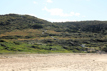 Burwood Beach with Australian Bush Growing Down to the Sand