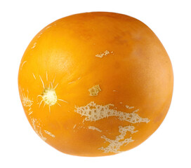 yellow melon isolated on a white background.