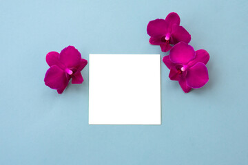 Square notebook sheet with bright pink orchid flowers on blue background.Natural mock up with tropical flowers