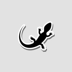 Top view lizard sticker icon isolated on gray background