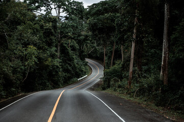 highway in the Thailand Jungle