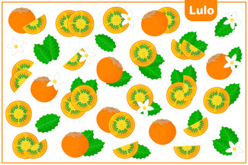 Set of vector cartoon illustrations with Lulo exotic fruits, flowers and leaves isolated on white background
