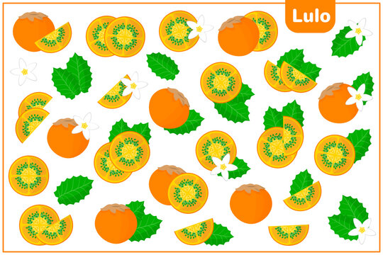 Set of vector cartoon illustrations with Lulo exotic fruits, flowers and leaves isolated on white background