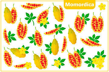 Set of vector cartoon illustrations with Momordica exotic fruits, flowers and leaves isolated on white background
