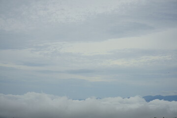 The summer is just around the corner!