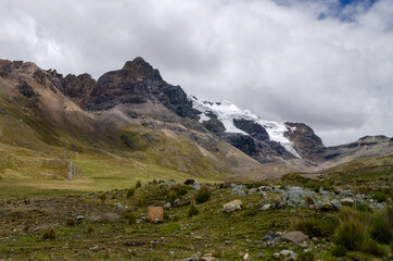 View of the valley landscape in Huascaran with green nature and snow mountains