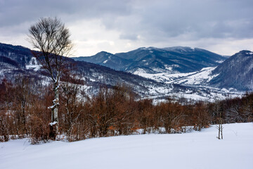 Obraz premium cloudy winter morning in mountains. tree on snow covered field. carpathian rural landscape. village in the distant valley