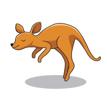 Kangaroo Cartoon Cute Animals Illustration