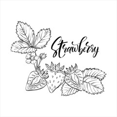 Hand drawn strawberry icon. Vector badge fruit in the old ink style for brochures, banner, restaurant menu and market