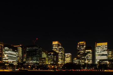 Dark skyline of Tokyo city at night with illuminated buildings seen from Imperial Palace Gardens, low horizon, empty space for caption.