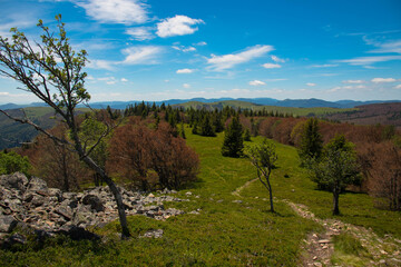 Blick vom Klintzkopf in die Bergwelt der Vogesen