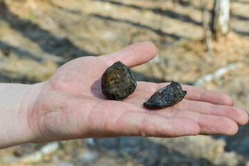 fragments of Chelyabinsk meteorite found in the winter and spring of 2013 near the city Chebarkul