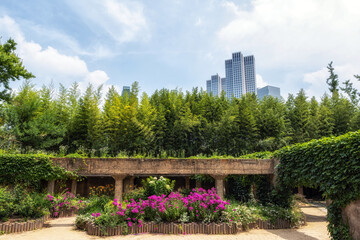 Fototapeta premium Seoul forest gallery garden