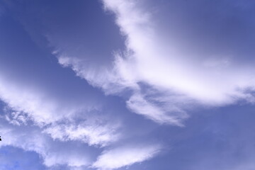 Sheet cloud on blue sky