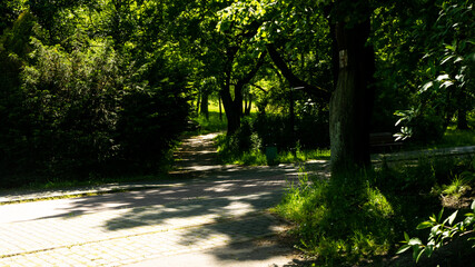 Fototapeta premium Piękne widoki w parku śląskim w Chorzowie. Gotowy do wejścia.